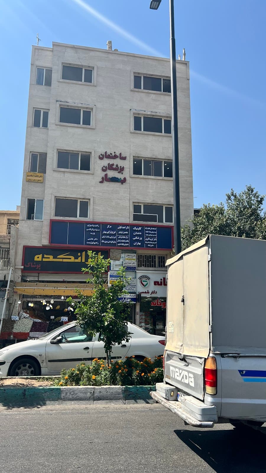 دکتر دلاوری