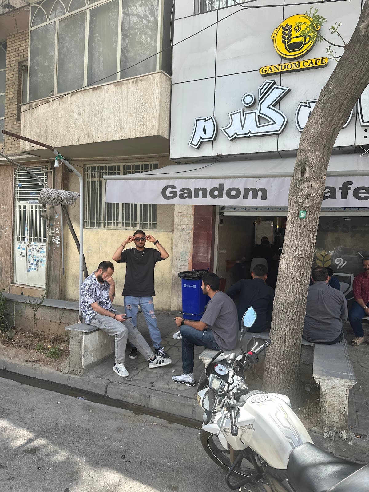 کافه گندم 2